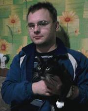 Ищу работу переводчика.