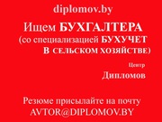  Бухгалтер (специализация бухучет в с/х)